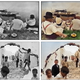 Image for article titled This Software Creates Vivid Color Pictures From Black-and-White Photos